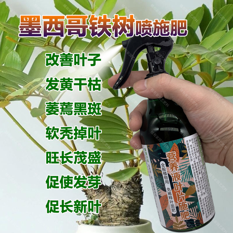 墨西哥铁树专用肥料花盆栽专用土壤营养液叶面肥叶面肥水溶化肥料,鲜花速递/花卉仿真/绿植园艺,家庭园艺肥料,淘宝优惠券,粉丝福利购,淘宝优惠卷