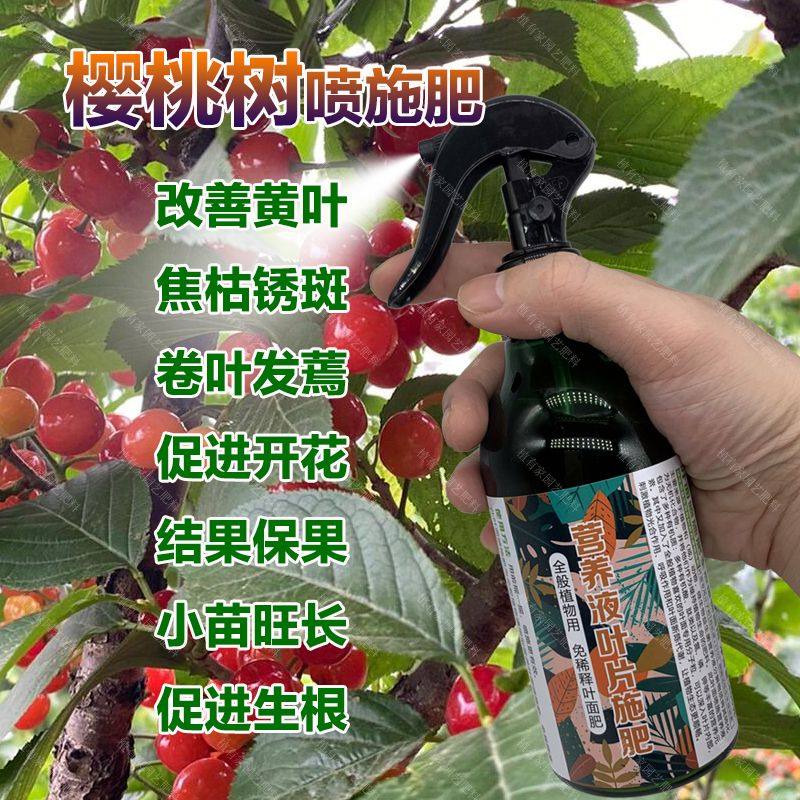 樱桃树专用肥料种植果树肥小苗营养液樱桃盆栽车厘子树苗开花肥料,鲜花速递/花卉仿真/绿植园艺,家庭园艺肥料,淘宝优惠券,粉丝福利购,淘宝优惠卷