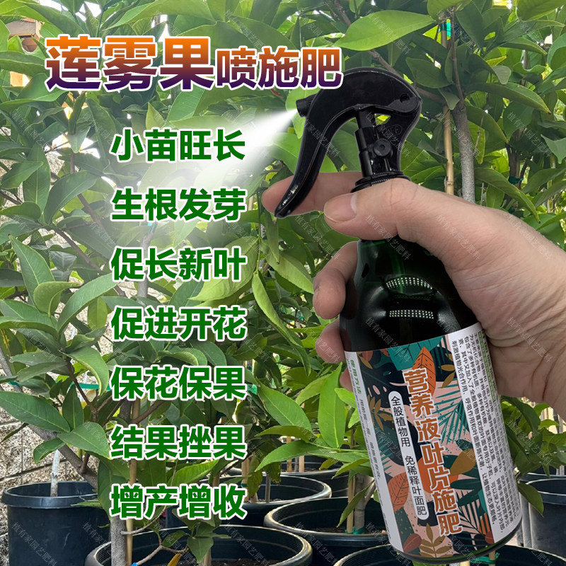 莲雾果专用肥料盆栽种植莲雾树营养液旺长生根发芽促长新叶面肥料,鲜花速递/花卉仿真/绿植园艺,家庭园艺肥料,淘宝优惠券,粉丝福利购,淘宝优惠卷