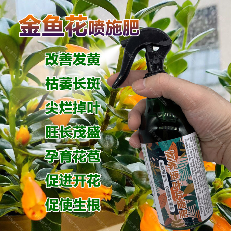 金鱼花专用肥料绿植盆栽金鱼吊兰花营养液叶面肥生长花苞开花肥料,鲜花速递/花卉仿真/绿植园艺,家庭园艺肥料,淘宝优惠券,粉丝福利购,淘宝优惠卷