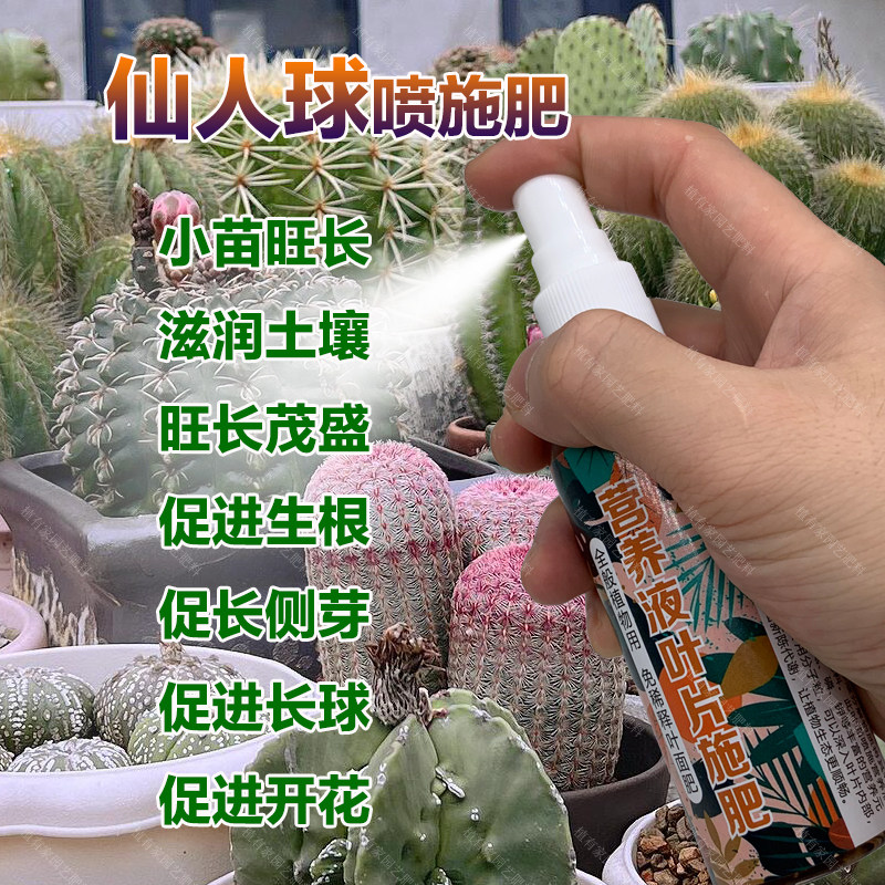 仙人球专用肥料仙人球多肉营养液旺长茂盛生根长侧芽长球叶面肥料,鲜花速递/花卉仿真/绿植园艺,家庭园艺肥料,淘宝优惠券,粉丝福利购,淘宝优惠卷
