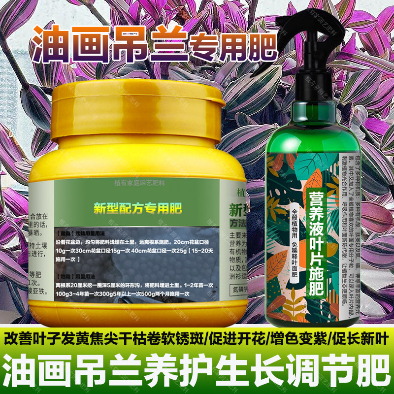 婚礼油画吊兰专用肥料养殖爆土培水培复合营养液叶面肥水溶化肥料