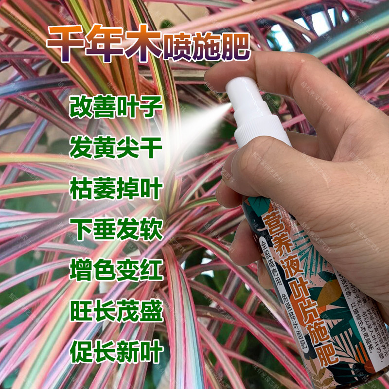 千年木专用肥料七彩铁营养液叶子发黄尖干枯萎掉叶下垂发软叶面肥,鲜花速递/花卉仿真/绿植园艺,家庭园艺肥料,淘宝优惠券,粉丝福利购,淘宝优惠卷