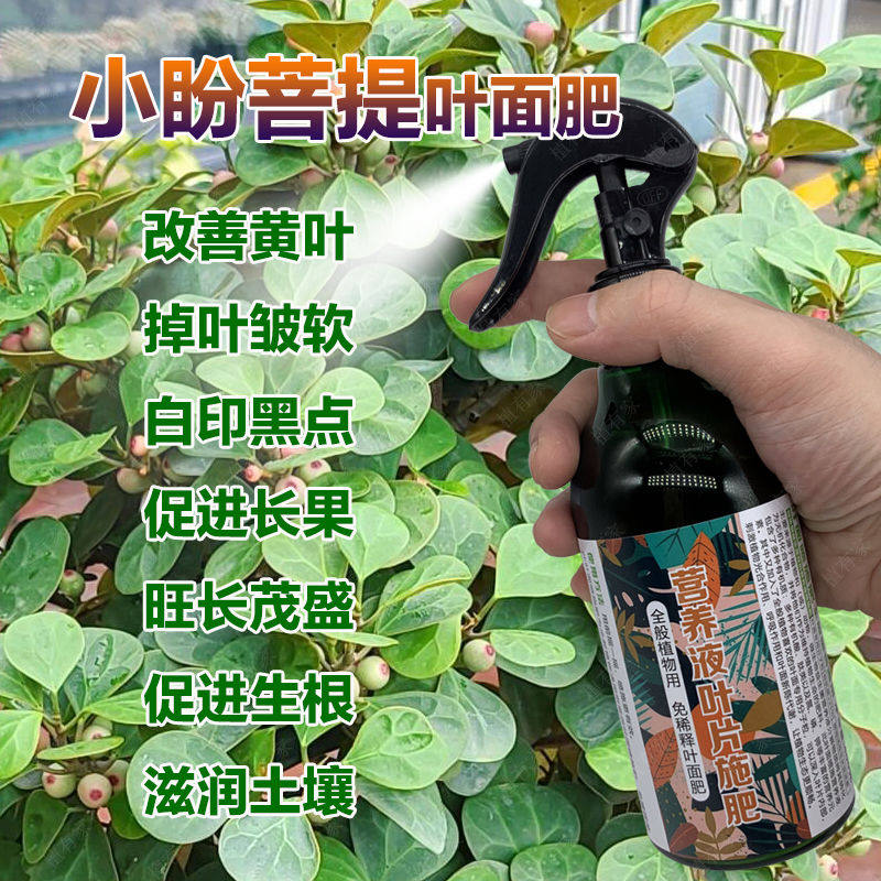 小盼菩提营养液防黄叶黑斑干枯促绿叶长果盆景小莲花小蟠桃专用肥,鲜花速递/花卉仿真/绿植园艺,家庭园艺肥料,淘宝优惠券,粉丝福利购,淘宝优惠卷