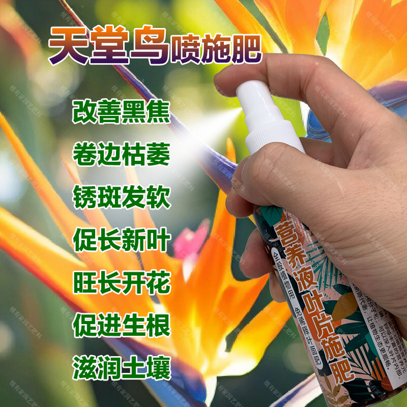 天堂鸟专用肥料花盆栽家庭专用土绿植物种植天堂鸟营养液叶面肥料,鲜花速递/花卉仿真/绿植园艺,家庭园艺肥料,淘宝优惠券,粉丝福利购,淘宝优惠卷