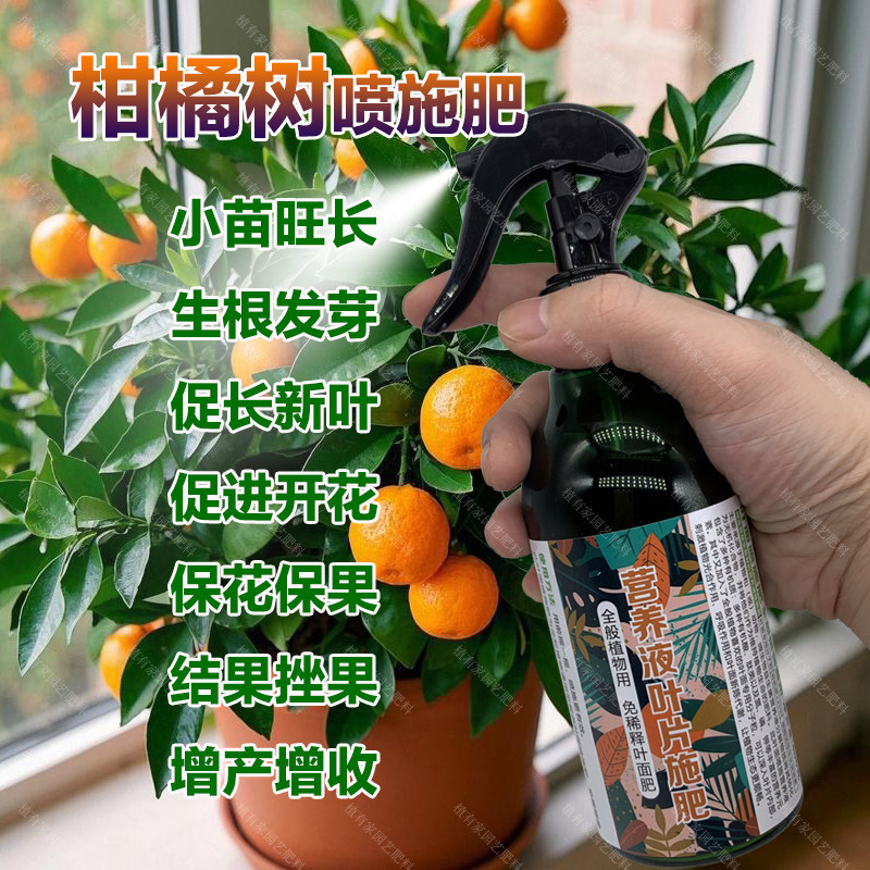 柑橘树专用肥料盆栽小苗旺长生根促发新芽长新叶面肥营养液化肥料,鲜花速递/花卉仿真/绿植园艺,家庭园艺肥料,淘宝优惠券,粉丝福利购,淘宝优惠卷