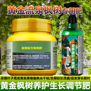 红枫树专用肥料盆栽羽毛枫黄金流泉枫金隐秋月土壤营养液叶面肥料