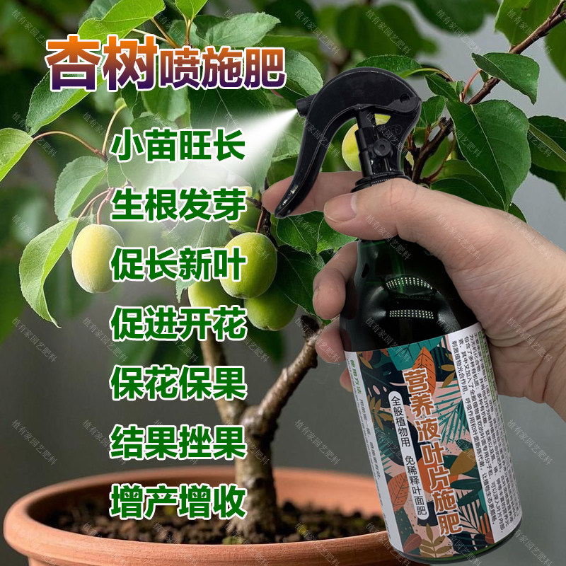 杏树专用肥料盆栽杏子小苗旺长生根促发新芽长新叶营养液叶面肥料,鲜花速递/花卉仿真/绿植园艺,家庭园艺肥料,淘宝优惠券,粉丝福利购,淘宝优惠卷
