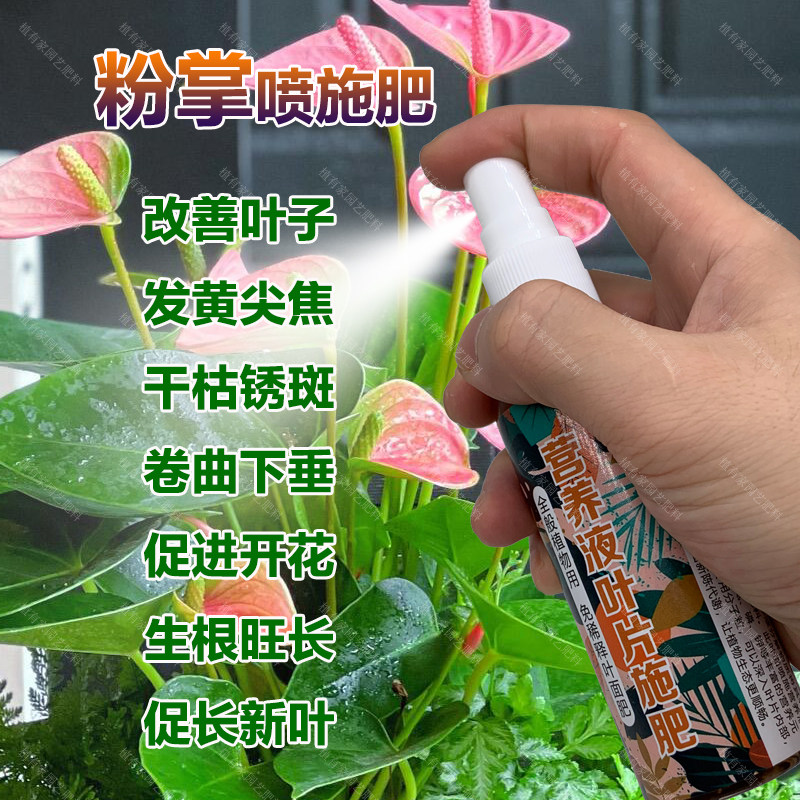 粉掌专用肥料盆栽营养液水培土培叶子黄尖焦干枯锈斑卷曲下垂肥料,鲜花速递/花卉仿真/绿植园艺,家庭园艺肥料,淘宝优惠券,粉丝福利购,淘宝优惠卷