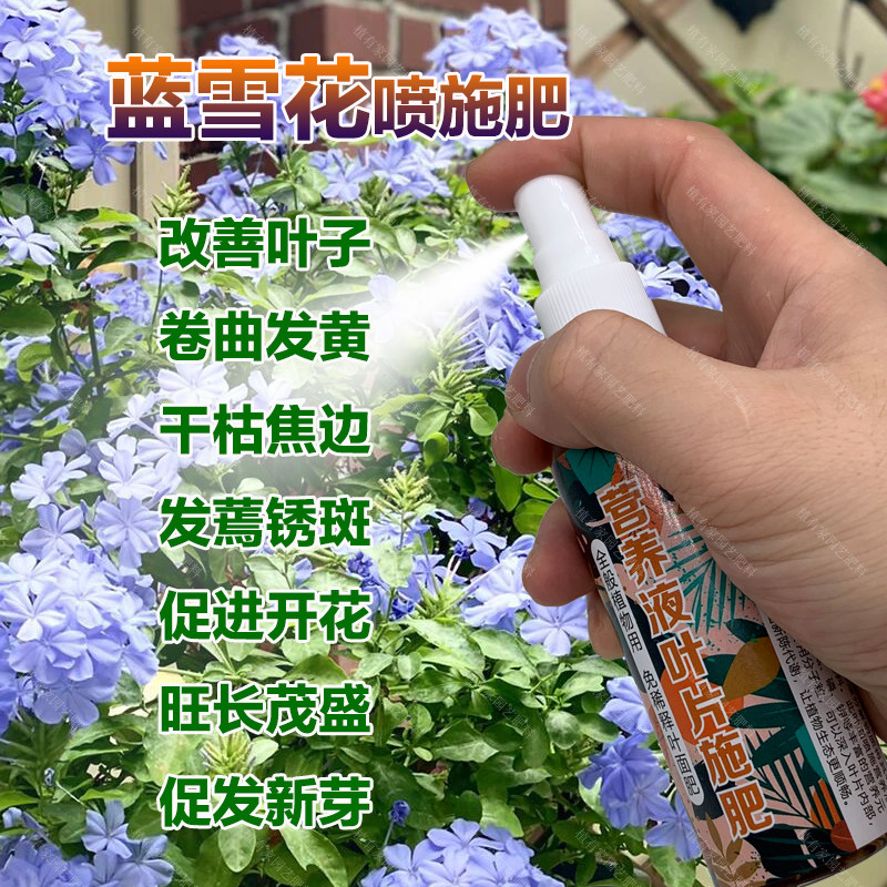 蓝雪花专用肥料盆栽爬藤植物花肥营养液叶面肥有机肥颗粒缓释肥料,鲜花速递/花卉仿真/绿植园艺,家庭园艺肥料,淘宝优惠券,粉丝福利购,淘宝优惠卷