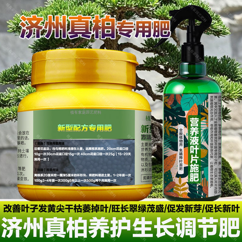 济州真柏专用肥料花盆景专用土营养液叶面肥旺长翠绿长新叶面肥料,鲜花速递/花卉仿真/绿植园艺,家庭园艺肥料,淘宝优惠券,粉丝福利购,淘宝优惠卷