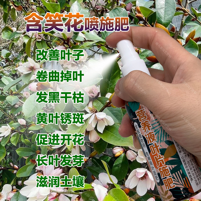 含笑花专用肥料专用土盆栽大树苗喷剂花肥营养液叶面肥水溶化肥料,鲜花速递/花卉仿真/绿植园艺,家庭园艺肥料,淘宝优惠券,粉丝福利购,淘宝优惠卷
