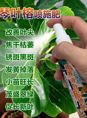 琴叶榕专用肥料绿植营养液叶尖焦干枯萎锈斑黑斑发黄掉落叶面肥料