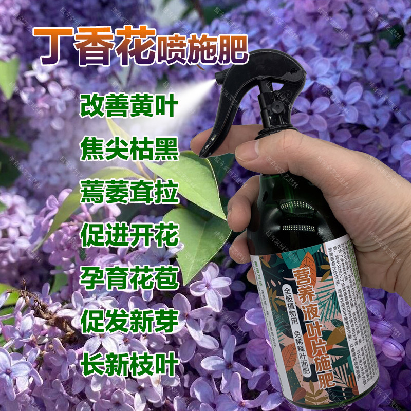丁香花专用肥料养殖丁香花树营养液叶子发黄耷拉发焦卷曲叶面肥料,鲜花速递/花卉仿真/绿植园艺,家庭园艺肥料,淘宝优惠券,粉丝福利购,淘宝优惠卷