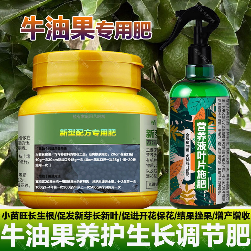 牛油果专用肥料牛油果树营养液喷剂有机肥盆栽种植专用土叶面肥料,鲜花速递/花卉仿真/绿植园艺,家庭园艺肥料,淘宝优惠券,粉丝福利购,淘宝优惠卷
