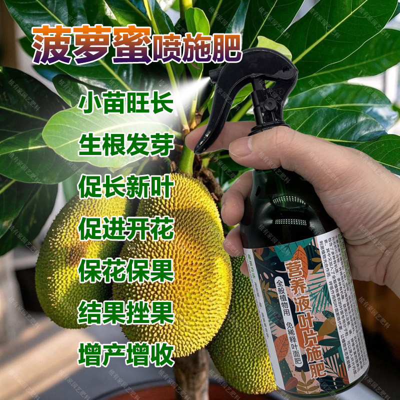 菠萝蜜专用肥料盆栽种植果树苗营养液旺长生根发芽促长新叶面肥料,鲜花速递/花卉仿真/绿植园艺,家庭园艺肥料,淘宝优惠券,粉丝福利购,淘宝优惠卷
