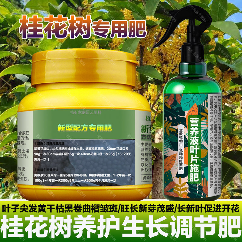 桂花树专用肥料盆栽营养液尖发黄干枯萎黑卷曲褶皱发黄锈斑叶面肥,鲜花速递/花卉仿真/绿植园艺,家庭园艺肥料,淘宝优惠券,粉丝福利购,淘宝优惠卷