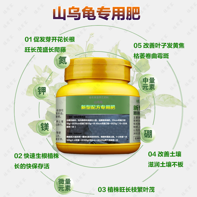 山乌龟专用肥料促进长叶发芽冒芽生根爬藤营养液盆栽绿施叶面肥料,鲜花速递/花卉仿真/绿植园艺,家庭园艺肥料,淘宝优惠券,粉丝福利购,淘宝优惠卷