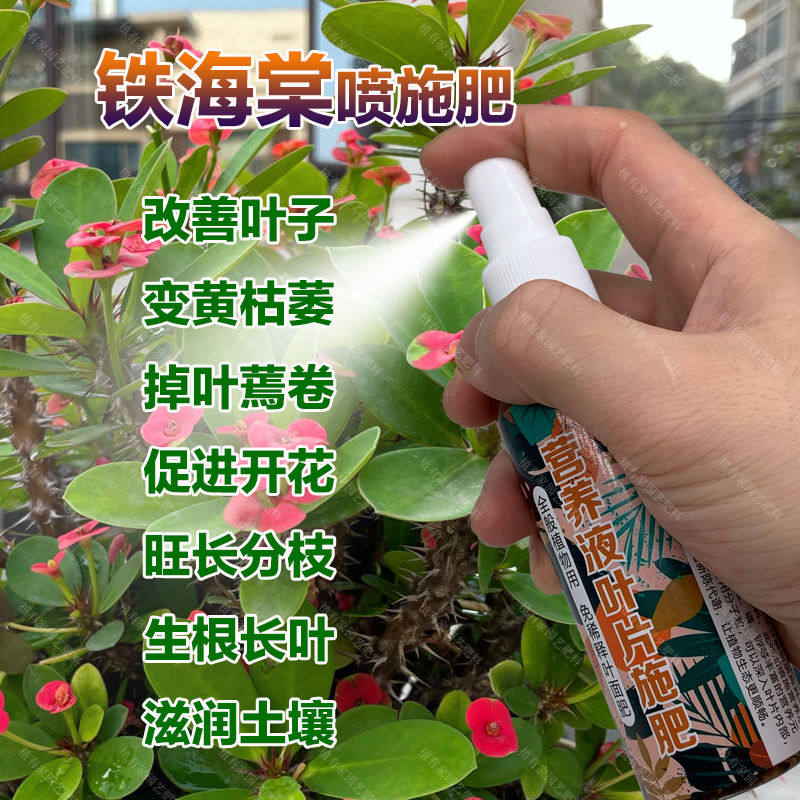 虎刺梅专用肥料盆景花肥营养液铁海棠盆栽叶子卷变黄枯萎掉落肥料,鲜花速递/花卉仿真/绿植园艺,家庭园艺肥料,淘宝优惠券,粉丝福利购,淘宝优惠卷