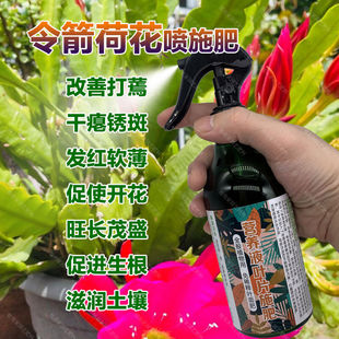 令箭荷花专用肥料植物营养液喷施叶片干瘪锈打蔫枯萎发红花卉肥料