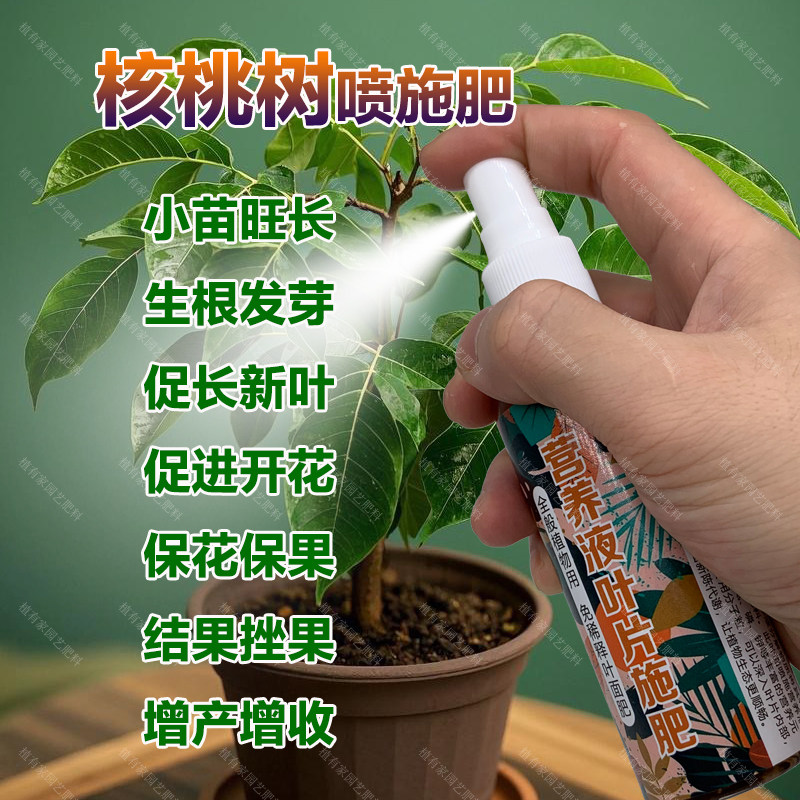 核桃专用肥料核桃树果树营养液开花保花保果结果挫果增产增收肥料,鲜花速递/花卉仿真/绿植园艺,家庭园艺肥料,淘宝优惠券,粉丝福利购,淘宝优惠卷