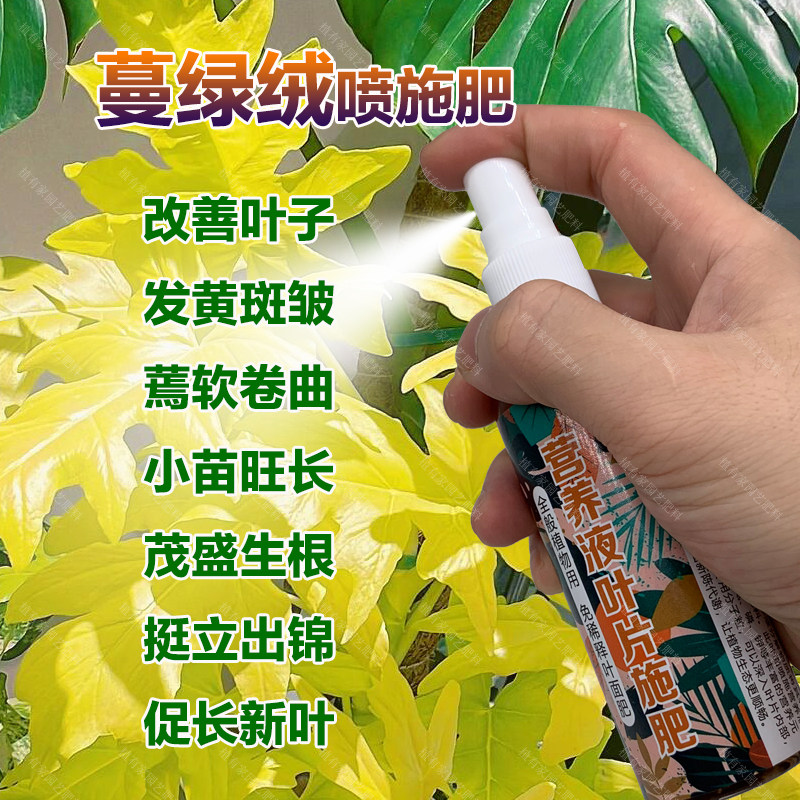 蔓绿绒专用肥料绿植铂金钻土营养液叶子发黄斑皱蔫软卷曲叶面肥料,鲜花速递/花卉仿真/绿植园艺,家庭园艺肥料,淘宝优惠券,粉丝福利购,淘宝优惠卷