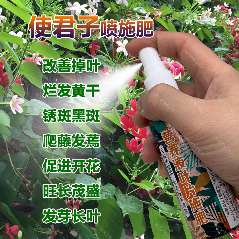 使君子专用肥料花盆栽使君子花营养液爬藤绿植物发芽长叶叶面肥料,鲜花速递/花卉仿真/绿植园艺,家庭园艺肥料,淘宝优惠券,粉丝福利购,淘宝优惠卷