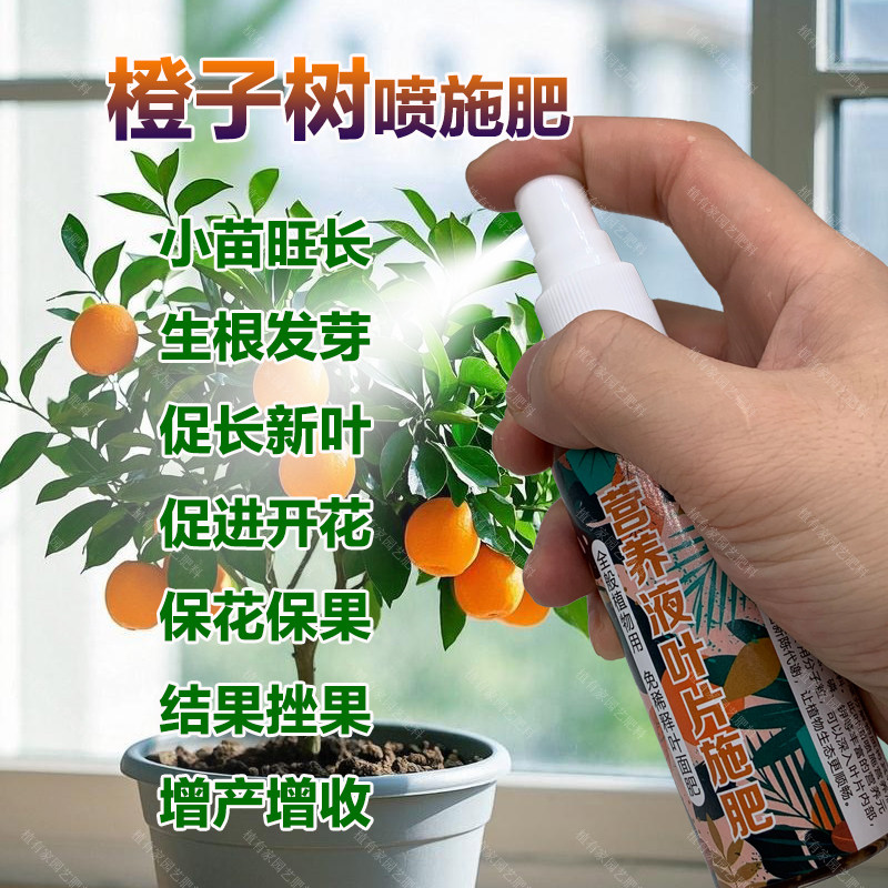 橙子树专用肥料橙子果树营养液开花保花保果结果挫果增产增收肥料,鲜花速递/花卉仿真/绿植园艺,家庭园艺肥料,淘宝优惠券,粉丝福利购,淘宝优惠卷