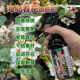 海岛春花树花盆景石斑木专用营养液养殖室内盆栽绿植老桩叶面肥料