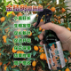 金桔树专用肥料改善掉叶打卷发黄盆栽种植果树苗营养液水溶化肥料