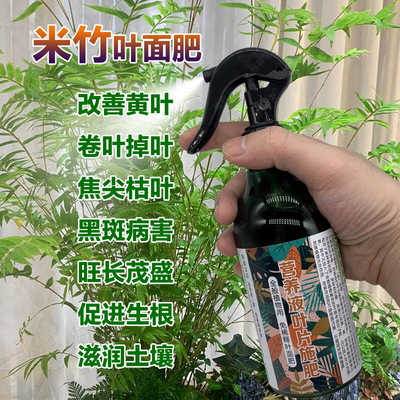 米竹专用肥料竹类花盆栽养殖观音竹专用土水培养护营养液叶面肥料