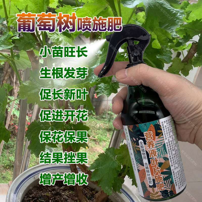 葡萄专用肥料花盆栽地栽专用土种植爬藤葡萄树苗营养液叶面肥肥料,鲜花速递/花卉仿真/绿植园艺,家庭园艺肥料,淘宝优惠券,粉丝福利购,淘宝优惠卷