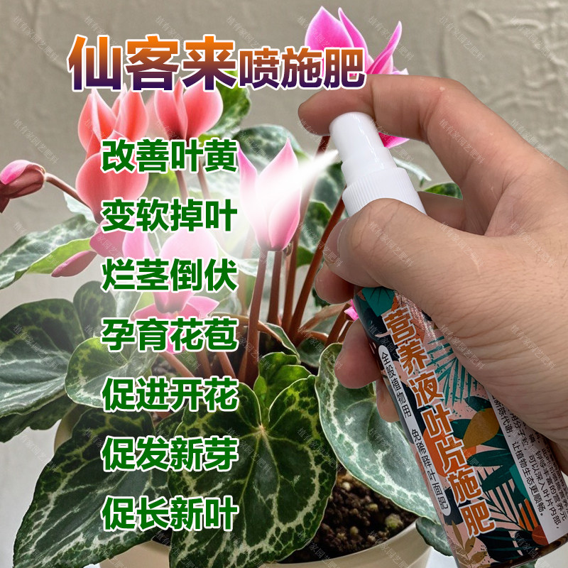 仙客来专用肥料花苗盆栽开花年宵花肥专用土壤喷剂营养液叶面肥料,鲜花速递/花卉仿真/绿植园艺,家庭园艺肥料,淘宝优惠券,粉丝福利购,淘宝优惠卷