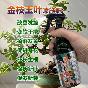 金枝玉叶专用肥料多肉植物营养液开花旺长生根发新芽长新叶面肥料
