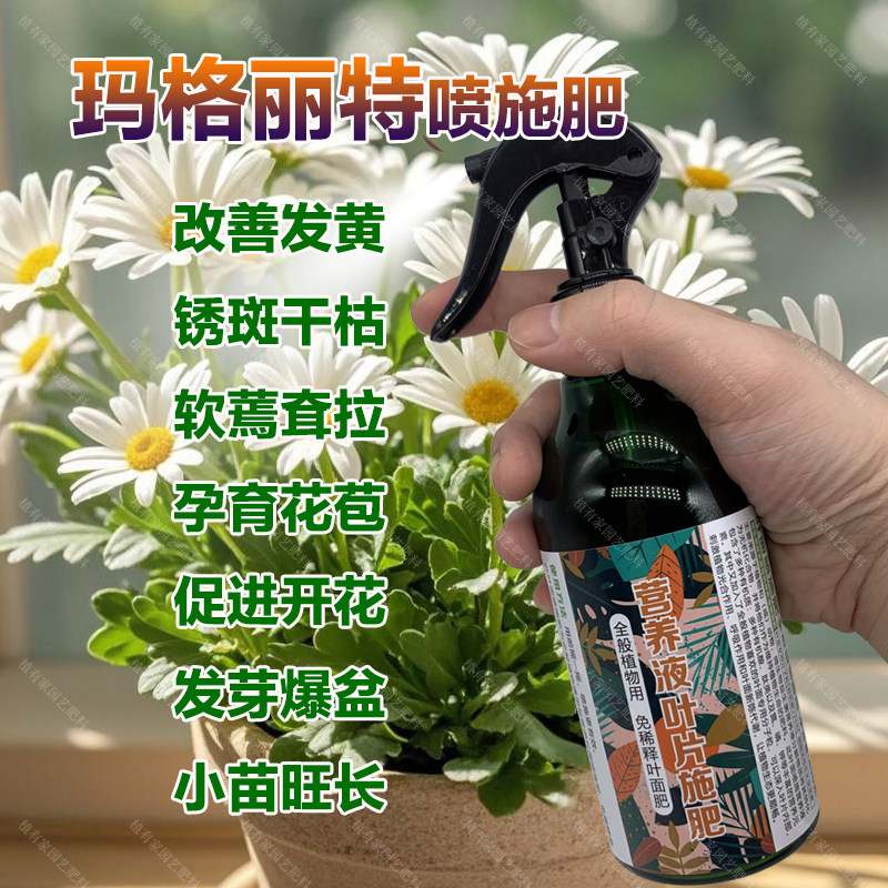 玛格丽特专用肥料土营养液长花苞开花肥发芽爆盆小苗旺长叶面肥料图片