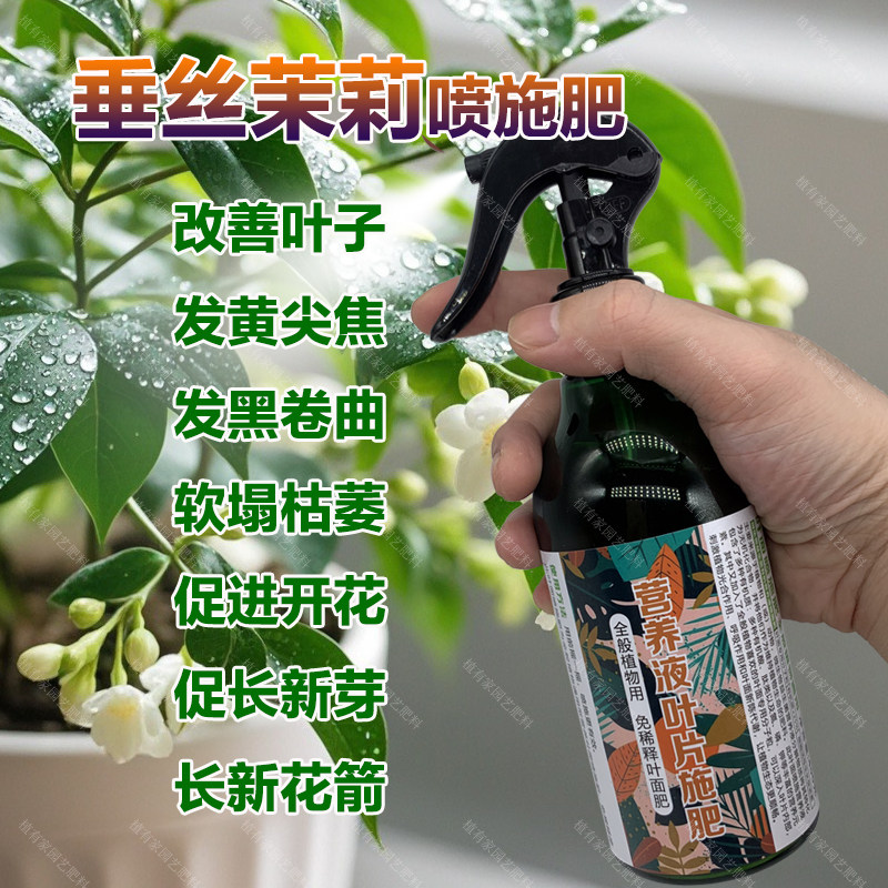 垂丝茉莉专用肥料养殖爬藤风车茉莉花肥专用土养护营养液叶面肥料,鲜花速递/花卉仿真/绿植园艺,家庭园艺肥料,淘宝优惠券,粉丝福利购,淘宝优惠卷
