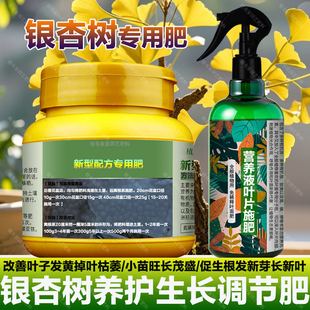 银杏树专用肥料盆栽种植盆景营养液叶子叶片发黄掉叶枯萎叶面肥料