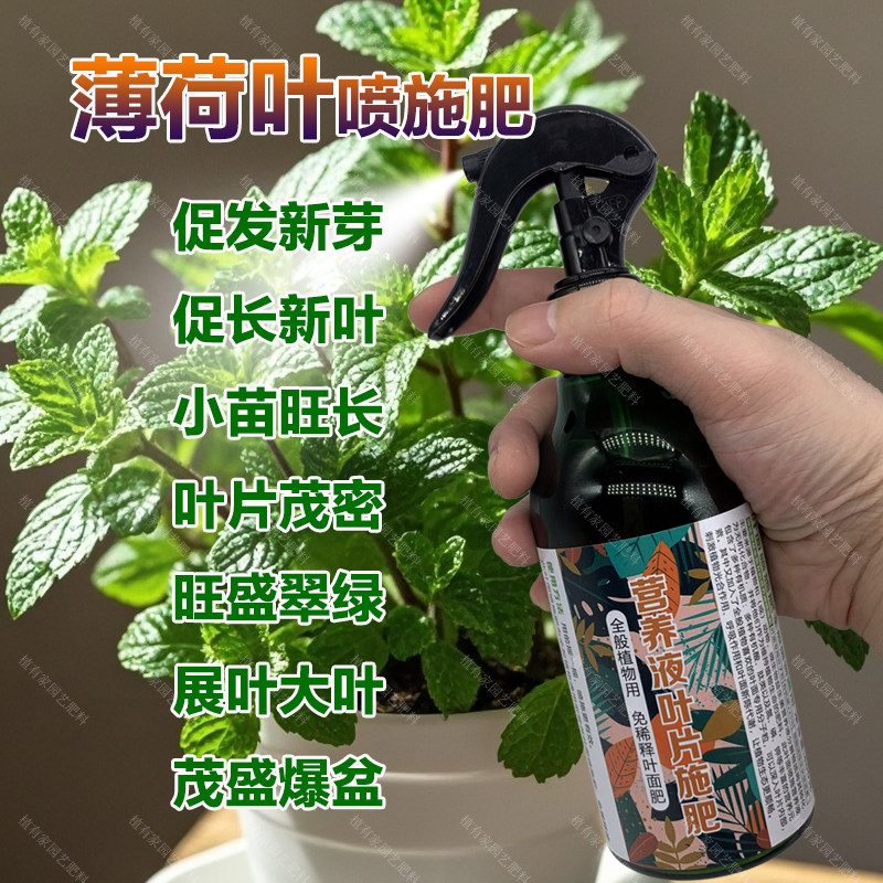薄荷专用肥料种植盆栽留兰香猫薄荷叶水培专用土培营养液叶面肥料,鲜花速递/花卉仿真/绿植园艺,家庭园艺肥料,淘宝优惠券,粉丝福利购,淘宝优惠卷