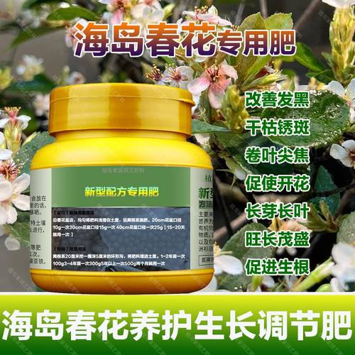 海岛春花树盆景石斑木专用营养液叶面肥缓释室内盆栽绿植老桩肥料