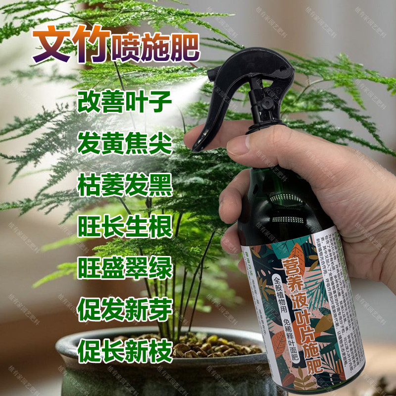 文竹专用肥料花盆栽小盆景专用土水培养护养殖营养液喷剂叶面肥料,鲜花速递/花卉仿真/绿植园艺,家庭园艺肥料,淘宝优惠券,粉丝福利购,淘宝优惠卷