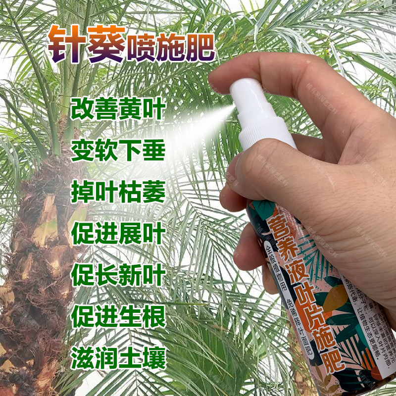 针葵树专用肥料盆栽刺葵树苗椰子棕榈专用土营养液叶面肥喷剂肥料,鲜花速递/花卉仿真/绿植园艺,家庭园艺肥料,淘宝优惠券,粉丝福利购,淘宝优惠卷