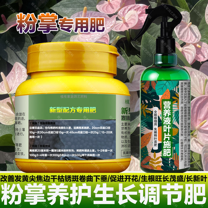 粉掌专用肥料室内盆栽植物养护营养液开花肥水培土培水溶化肥肥料,鲜花速递/花卉仿真/绿植园艺,家庭园艺肥料,淘宝优惠券,粉丝福利购,淘宝优惠卷