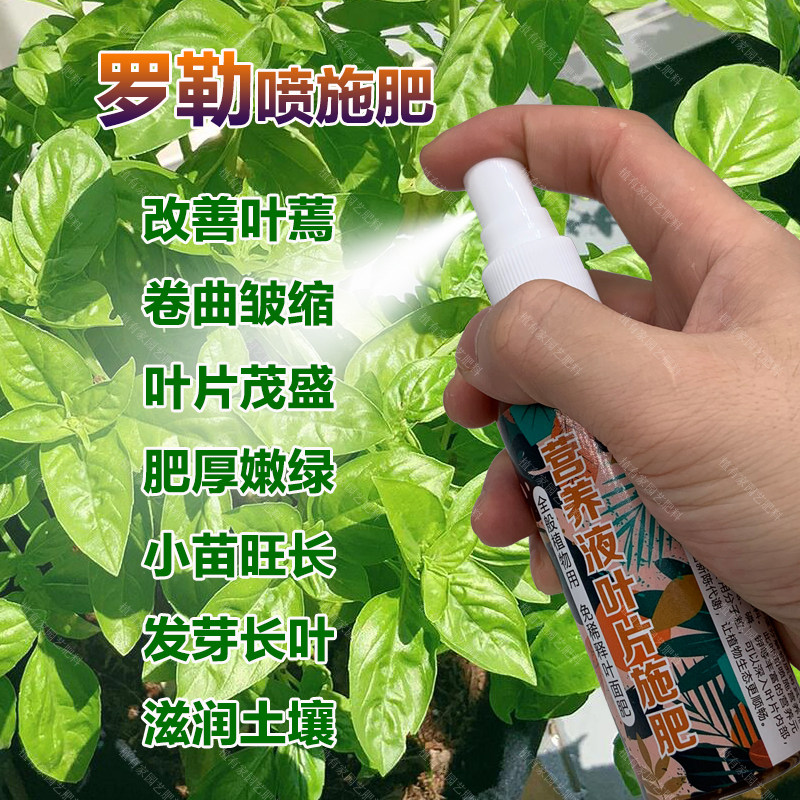 罗勒专用肥料种植盆栽营养液叶蔫卷曲皱缩有机叶面肥颗粒缓释肥料,鲜花速递/花卉仿真/绿植园艺,家庭园艺肥料,淘宝优惠券,粉丝福利购,淘宝优惠卷