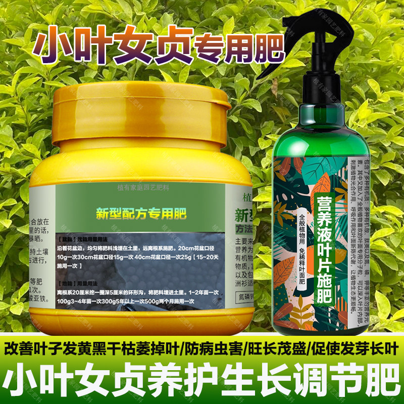 小叶女贞专用肥料树苗花土壤营养液叶面肥叶面肥有机肥水溶化肥料,鲜花速递/花卉仿真/绿植园艺,家庭园艺肥料,淘宝优惠券,粉丝福利购,淘宝优惠卷
