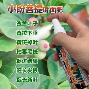 小盼菩提专用肥料盆栽养殖专用土小盼菩提树营养液喷剂叶面肥肥料