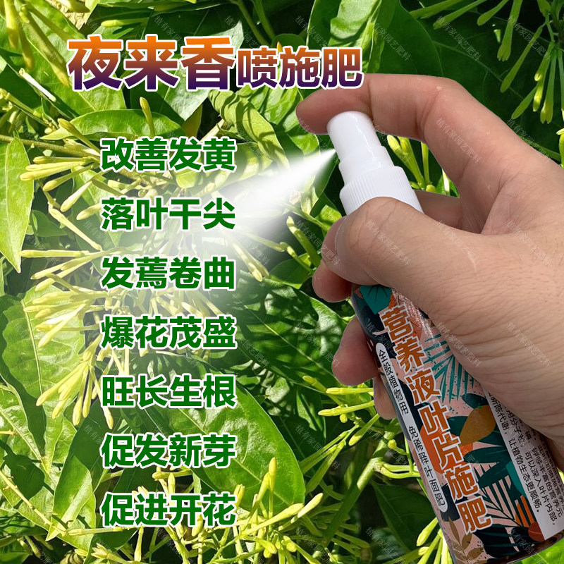 夜来香专用肥料养殖花苗盆栽树苗营养液落叶干尖发蔫卷曲叶面肥料,鲜花速递/花卉仿真/绿植园艺,家庭园艺肥料,淘宝优惠券,粉丝福利购,淘宝优惠卷