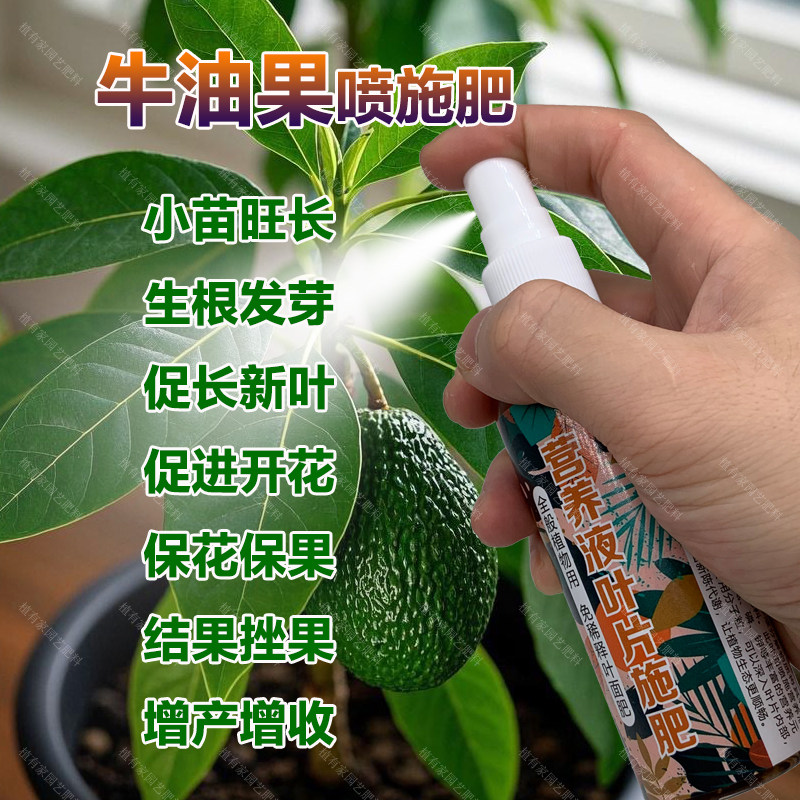 牛油果专用肥料营养液锈斑发黄干枯变黑边缘焦枯下垂卷曲叶面肥料,鲜花速递/花卉仿真/绿植园艺,家庭园艺肥料,淘宝优惠券,粉丝福利购,淘宝优惠卷