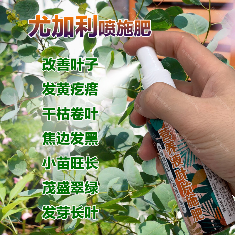 尤加利专用肥料盆栽尤加利树营养液叶子黄疙瘩干枯卷叶焦边黑肥料,鲜花速递/花卉仿真/绿植园艺,家庭园艺肥料,淘宝优惠券,粉丝福利购,淘宝优惠卷