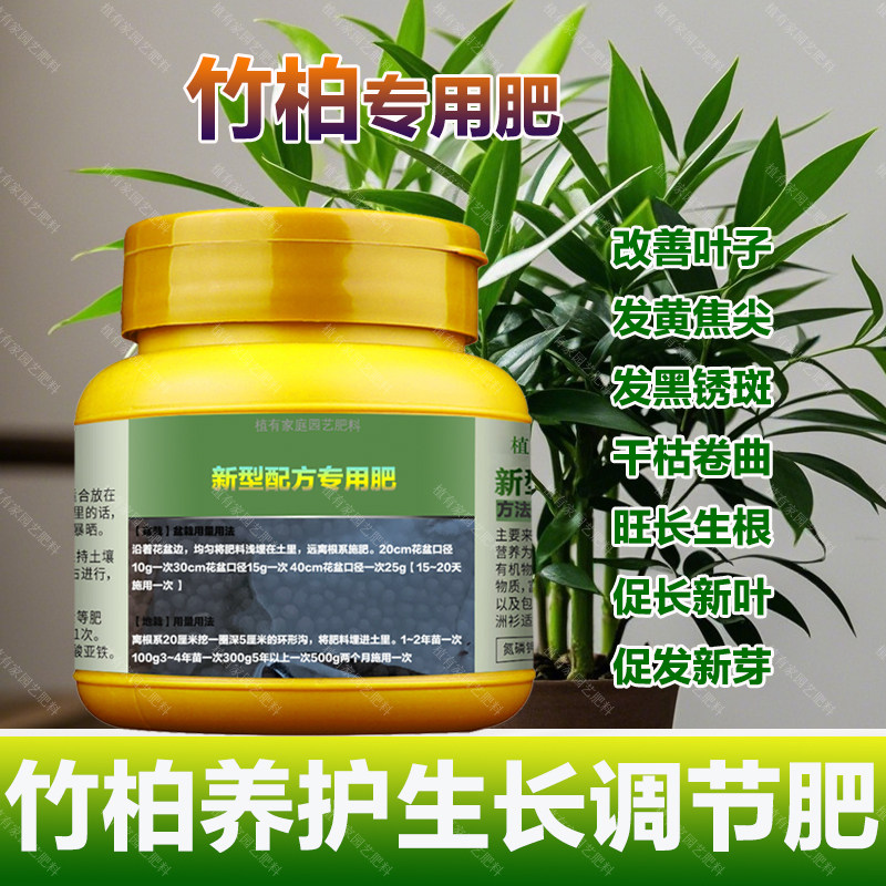 竹柏专用肥料养殖平安竹长寿竹盆栽土培水培养护营养液叶面肥肥料