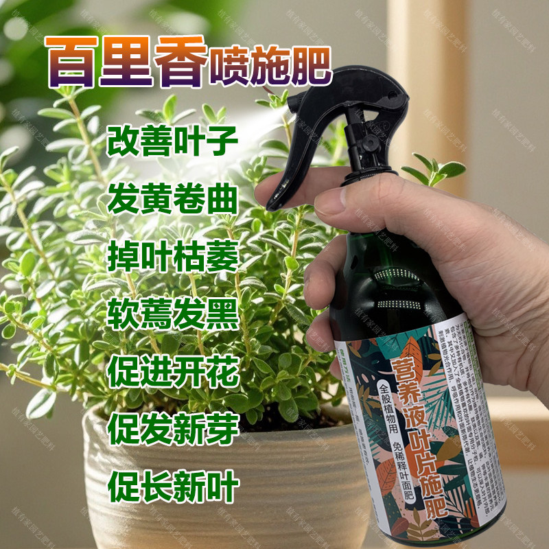 百里香专用肥料种植盆栽营养液叶子发黄干枯萎发蔫发黑掉叶面肥料,鲜花速递/花卉仿真/绿植园艺,家庭园艺肥料,淘宝优惠券,粉丝福利购,淘宝优惠卷